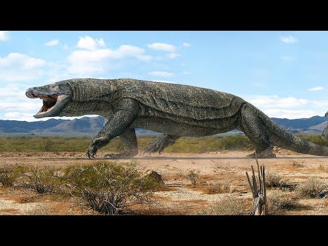 Megafauna Mystery – Size Isn’t Everything